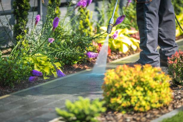 Best Fence Cleaning  in Gruetli Laager, TN